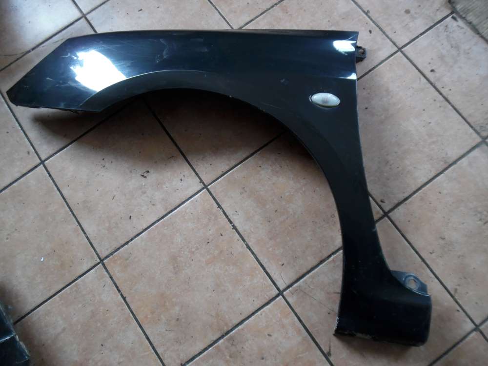 Peugeot 307 Kotflüge Links Schwarz : EXLD