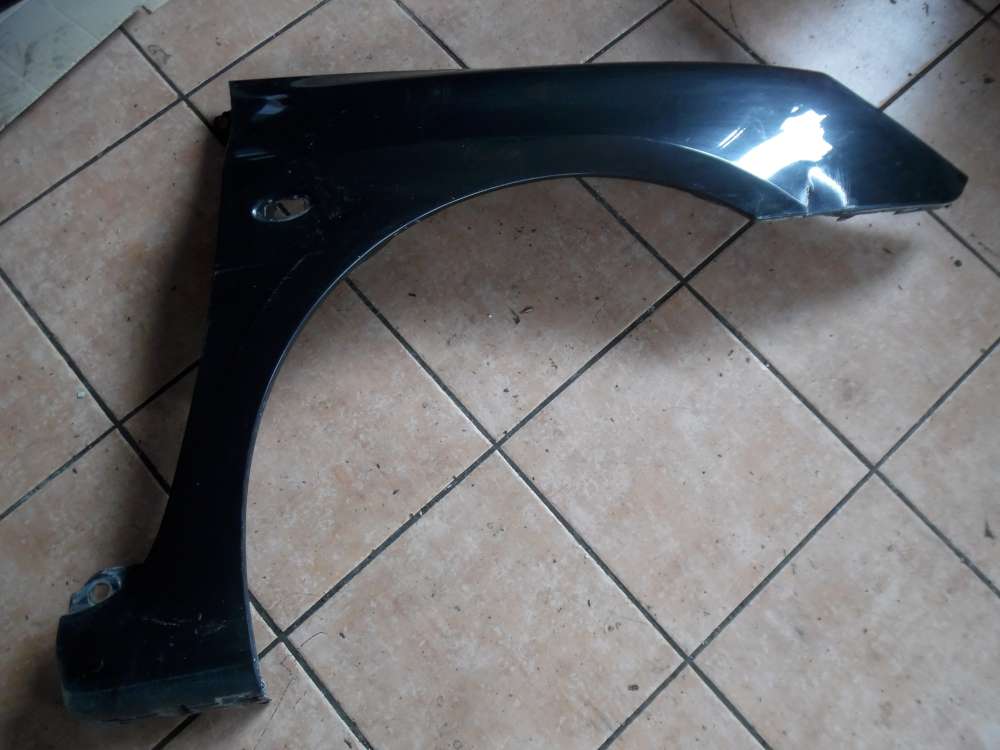 Peugeot 307 Kotflügel Rechts Schwarz : EXLD