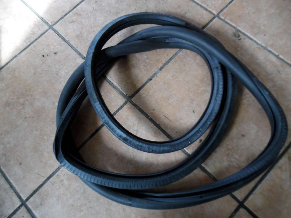 VW Golf V 1K Türdichtung Hinten Links