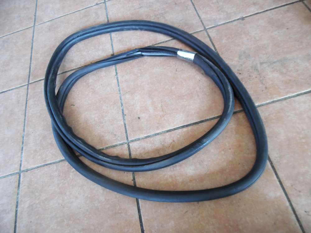 BMW 3-er F30 Türdichtung Dichtung Hinten Links 7258311