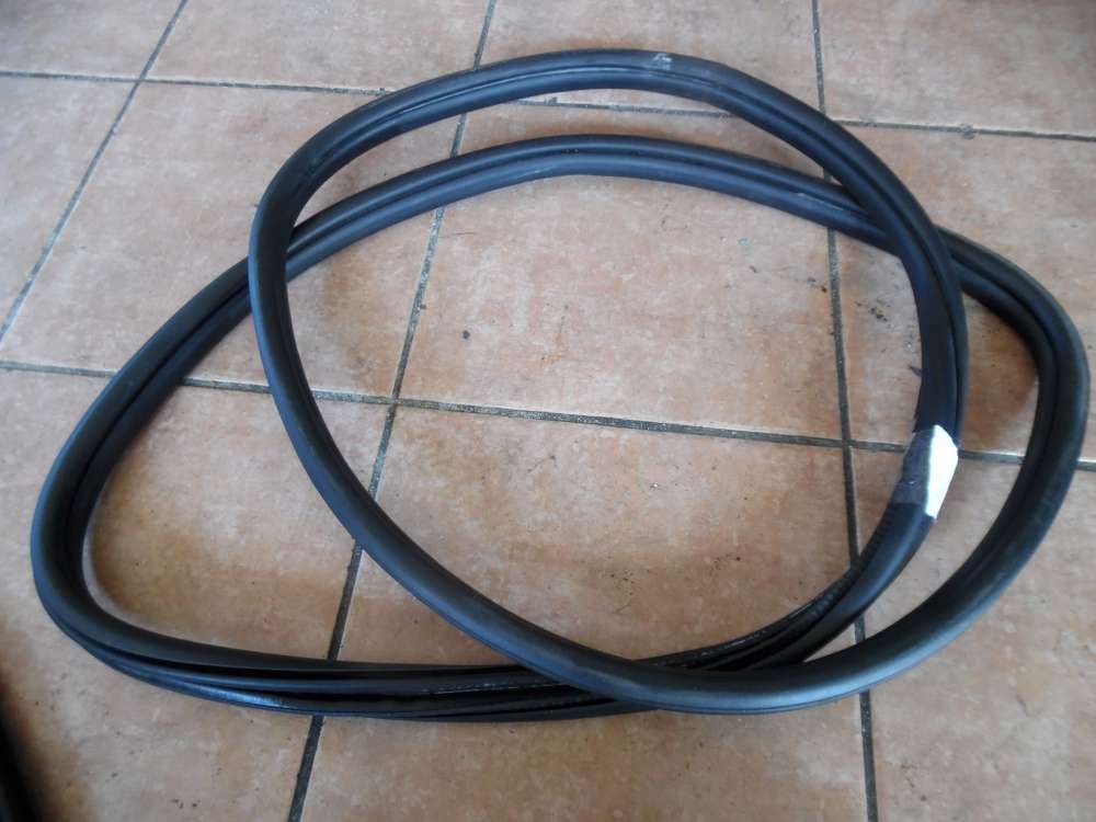 BMW 3-er F30 Türdichtung Dichtung Hinten Rechts 7258312