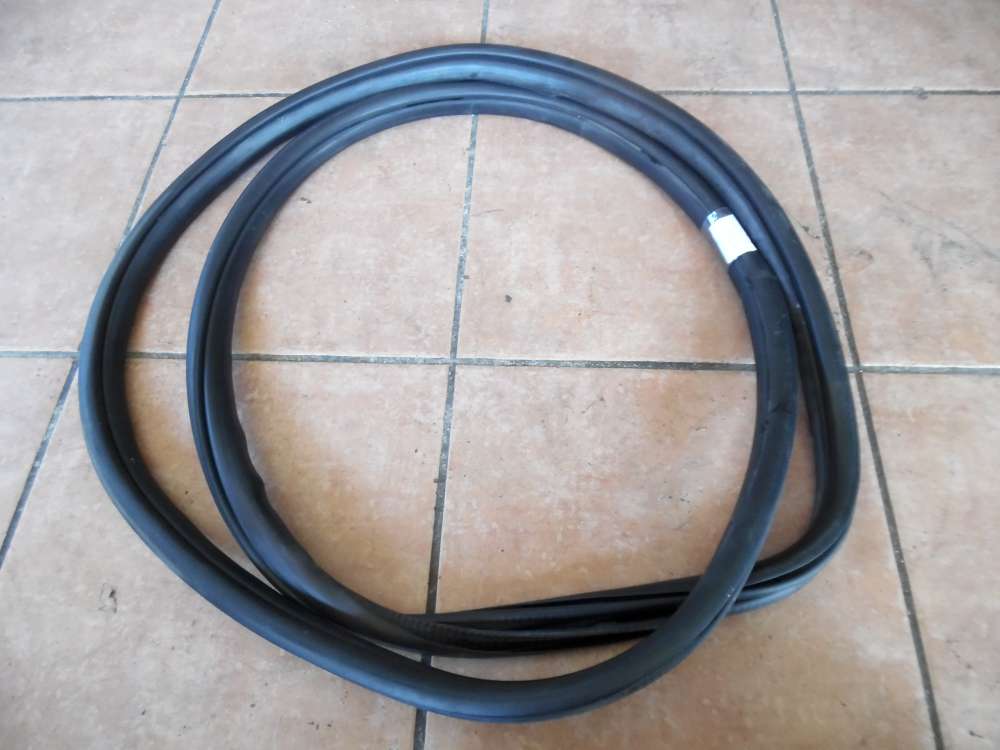 BMW 3-er F30 Türdichtung Dichtung Vorne Links 7305837
