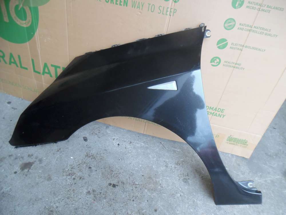Renault Espace IV Kotflügel Links Schwarz : NV676