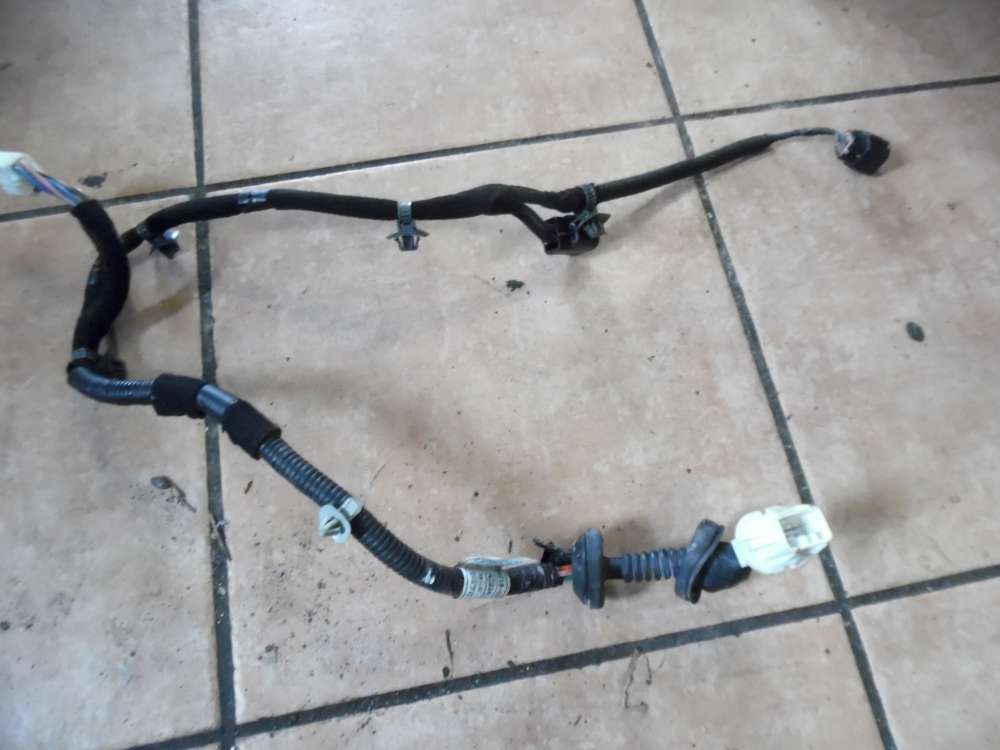 Hyundai Santa Fe Türkabekbaum Hinten Rechts 91830-26021