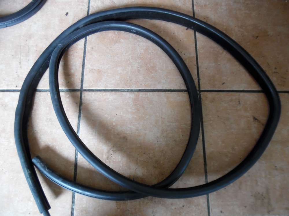 BMW 3er E46 Türdichtung Dichtung Hinten Links 8194683