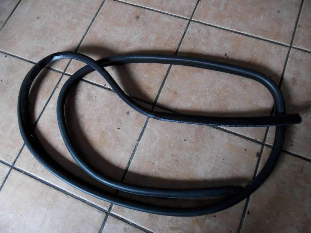 BMW 3er E46 Türdichtung Dichtung Vorne Rechts 8194681