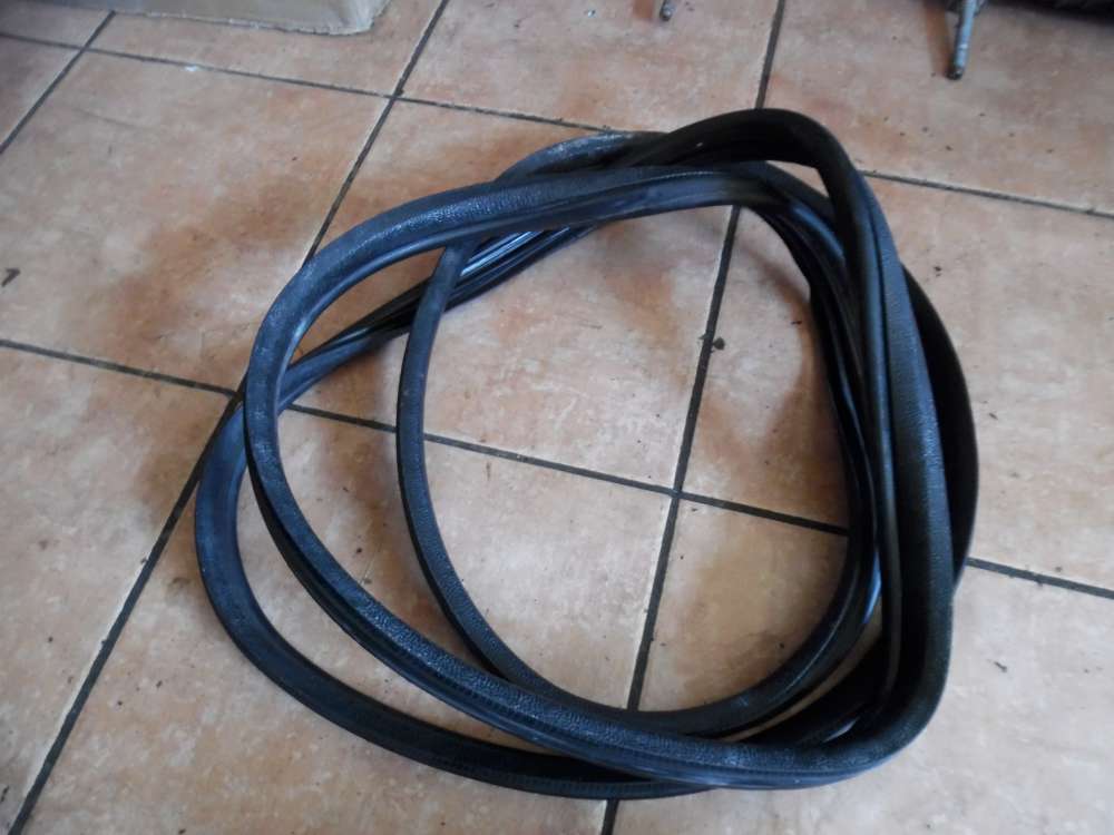 Peugeot 206 3-Türer Türdichtung Vorne Links