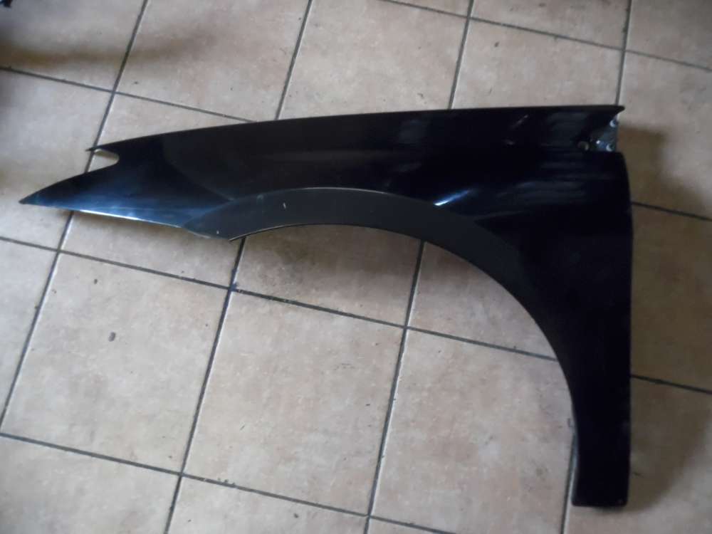 Renault Laguna III Kotflügel Links Schwarz
