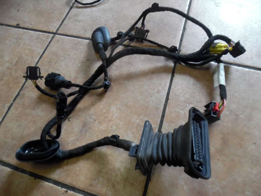 VW Golf V 1K Türkabelbaum Kabelbaum Vorne Rechts 1K0971121