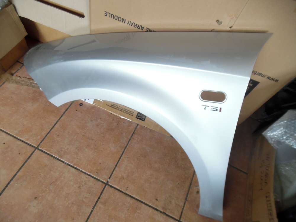 Seat Leon 1P Kotflügel Links 1P0821021 Grau