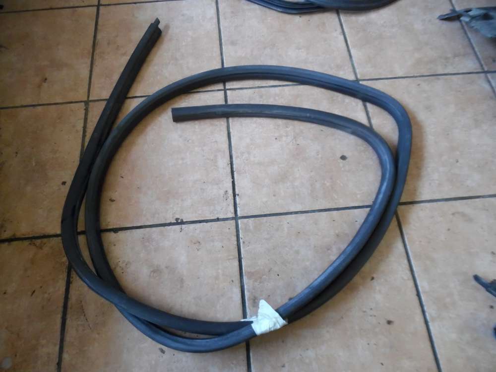 BMW 3er E46 Türdichtung Dichtung Vorne Links