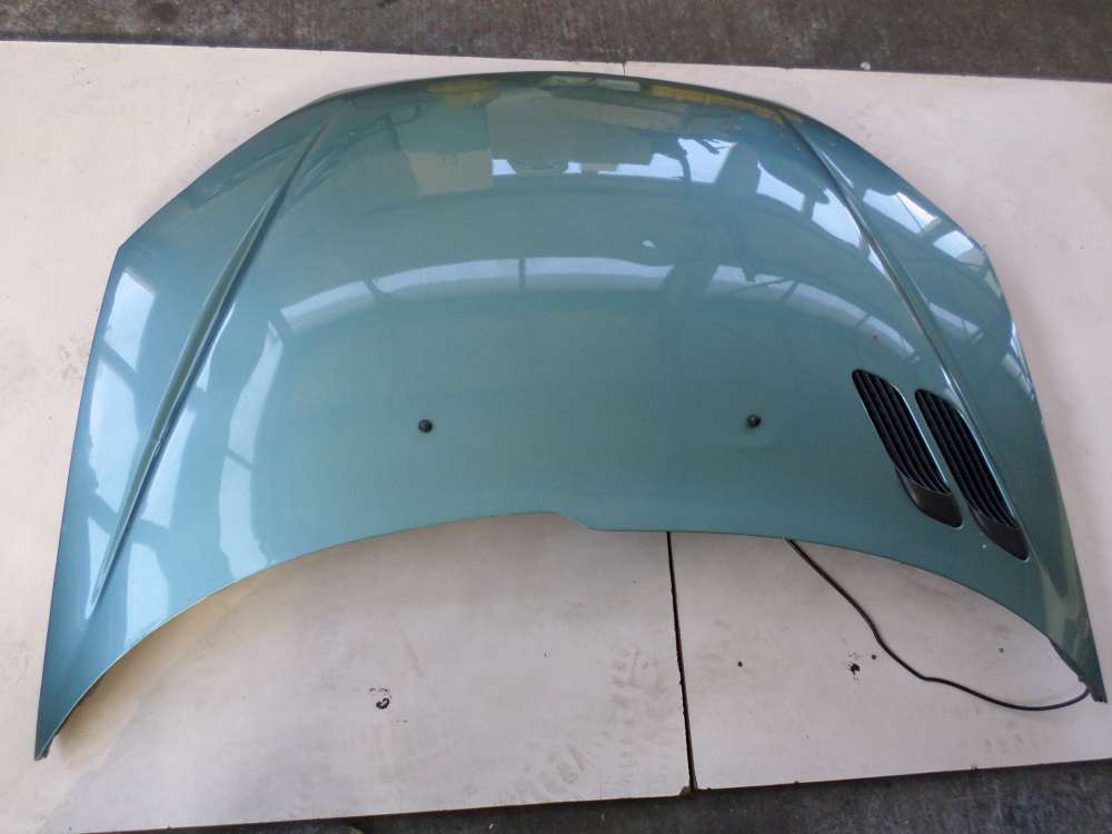 Peugeot 206 Motorhaube hellgr?n gr?n