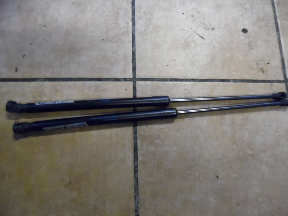 VW Passat Heckklappend?mpfer 1J6827550