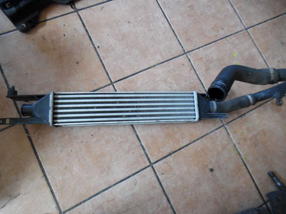 Fiat Punto 199 Ladeluftkühler mit Schlauch 51836369