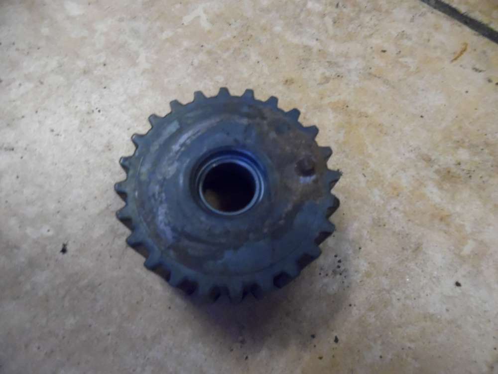Skoda Fabia 6Y Riemenspanner