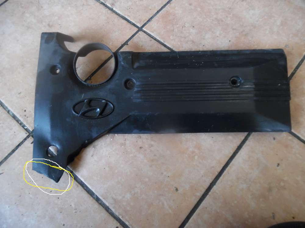 Hyundai Santa Fe Motorabdeckung 22405-38011