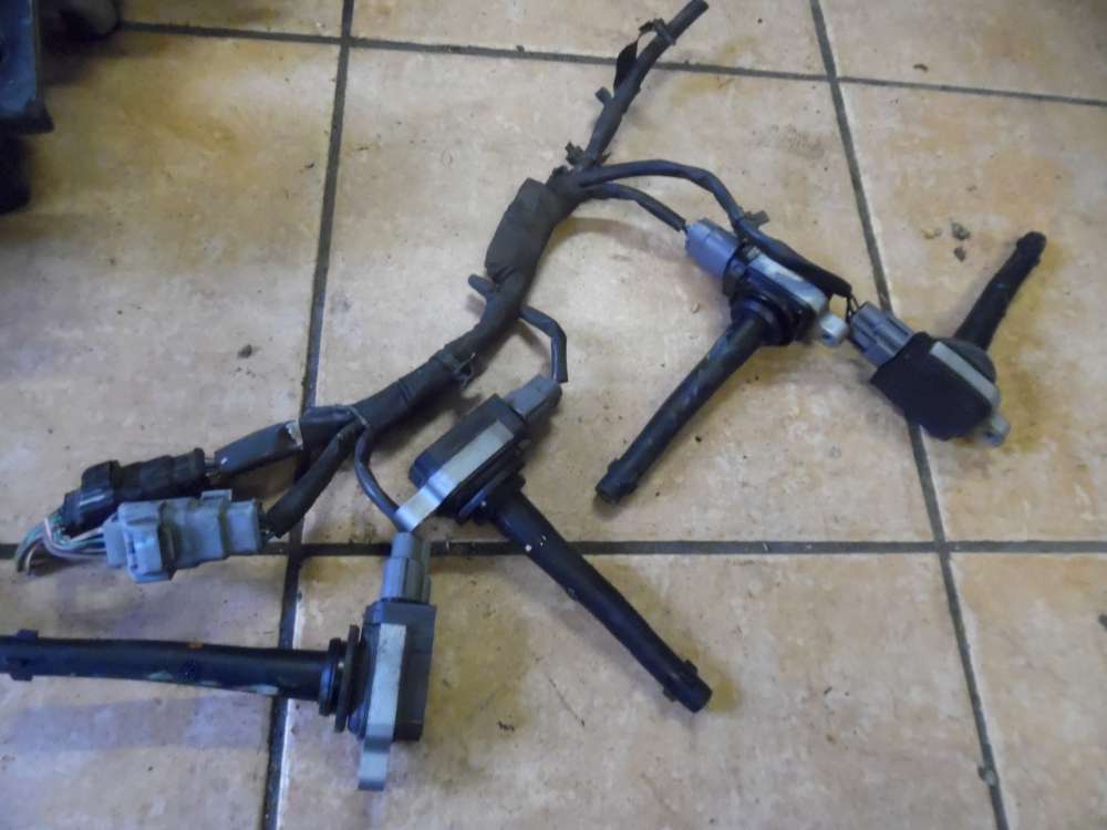 Renault Laguna III 2,0 Z?ndspule 0221604014