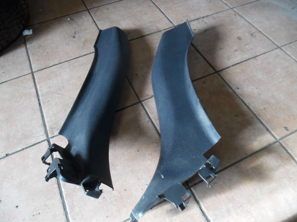 Renault Laguna III Seitenleiste Hinten 769170003R / 769180003R